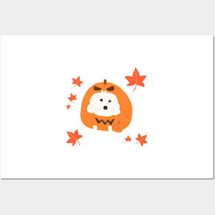 Pumpkin Maltipoo Posters and Art